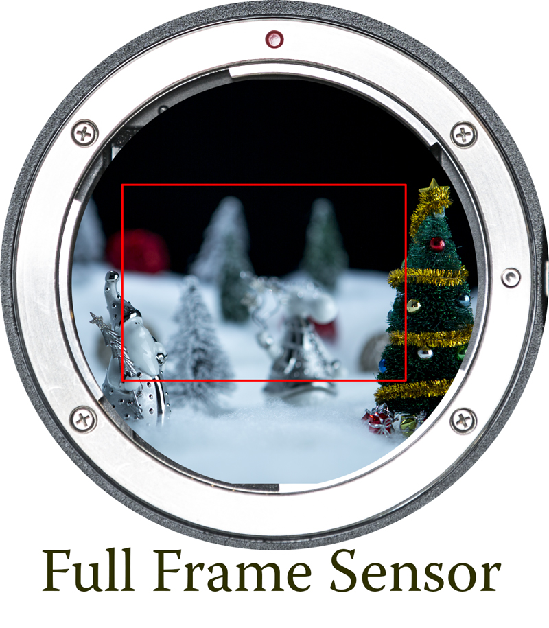 full frame sensor